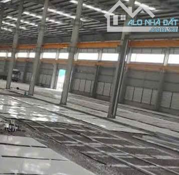 Cho thuê kho xưởng dt 3000m 10000m, cẩu trục 10 tấn, cao 12m CCN Minh Đức - 1