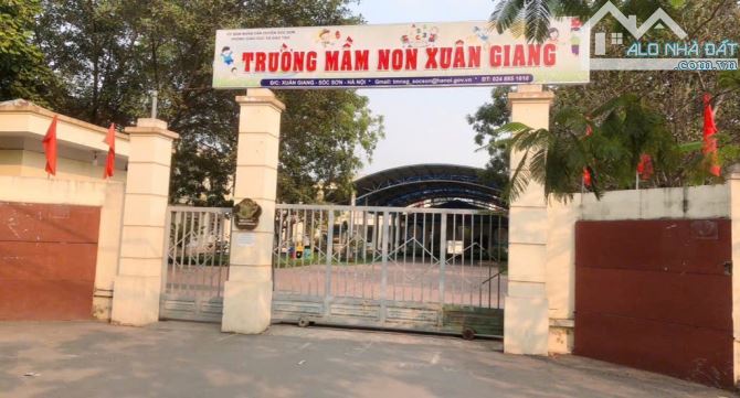 ĐẤT LAI CÁCH XUÂN GIANG 115M2 GIÁ CHO CÁC NHÀ ĐẦU TƯ-LÔ GÓC-PHÂN LÔ-Ô TÔ NGỦ TRONG ĐẤT - 1