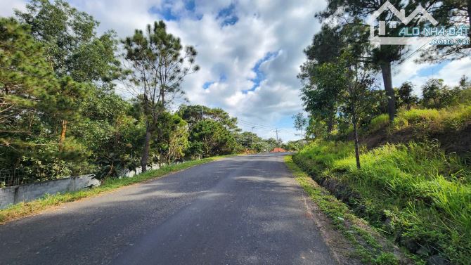 View Làng Chùa Đại Ninh, 1234m2-75Tc, Mt17m, nhựa lớn, 3ty 600 Triệu - 1