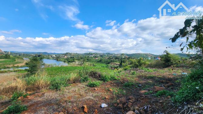 View Làng Chùa Đại Ninh, 1234m2-75Tc, Mt17m, nhựa lớn, 3ty 600 Triệu - 12