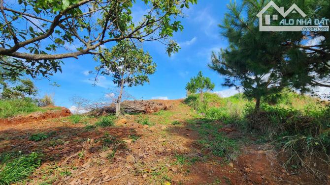 View Làng Chùa Đại Ninh, 1234m2-75Tc, Mt17m, nhựa lớn, 3ty 600 Triệu - 3