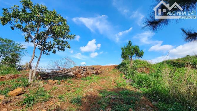 View Làng Chùa Đại Ninh, 1234m2-75Tc, Mt17m, nhựa lớn, 3ty 600 Triệu - 4