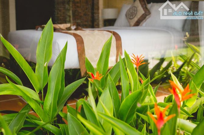 Bán căn Villa 6 phòng FULL Nội Thất - Tại Khu Phố Đi Bộ thứ 2 Hội An. Kinh doanh ngay - 3