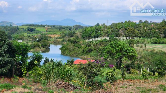 View Làng Chùa Đại Ninh, 1234m2-75Tc, Mt17m, nhựa lớn, 3ty 600 Triệu - 7