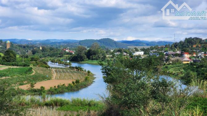 View Làng Chùa Đại Ninh, 1234m2-75Tc, Mt17m, nhựa lớn, 3ty 600 Triệu - 8