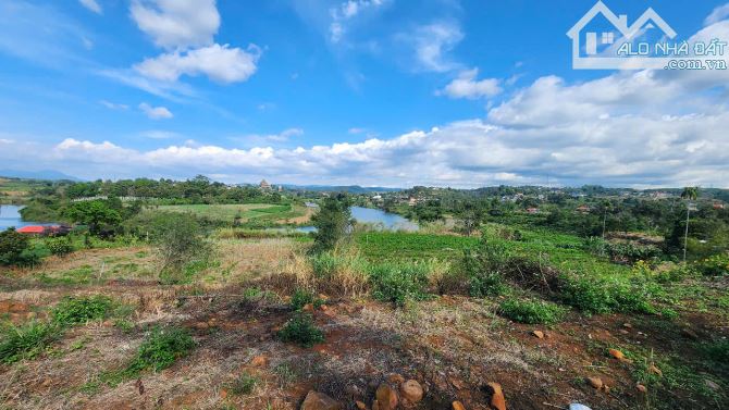 View Làng Chùa Đại Ninh, 1234m2-75Tc, Mt17m, nhựa lớn, 3ty 600 Triệu - 9