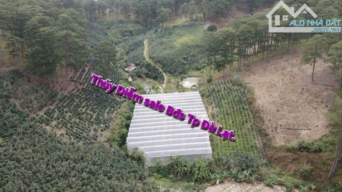 Cần bán lô đất nông nghiệp xã Xuân Thọ, tp Đà Lạt. 23.183.19m² ( 2ha3). 19ty - 7
