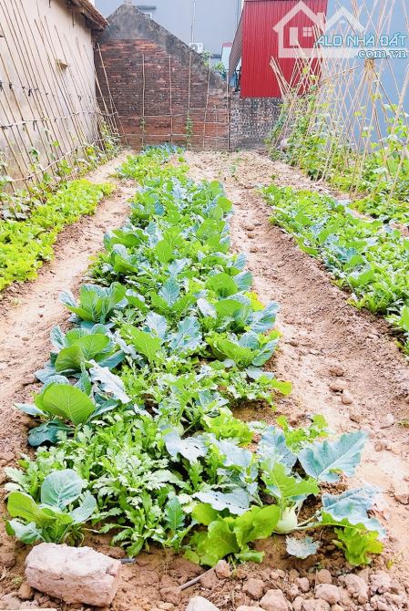 ĐẤT ĐẸP LÔ GÓC 2 MẶT THOÁNG NỞ HẬU NGÕ THÔNG 2 Ô TÔ TRÁNH NHAU 60M ZÁ RẺ NAM HỒNG _ĐÔNG AN - 1