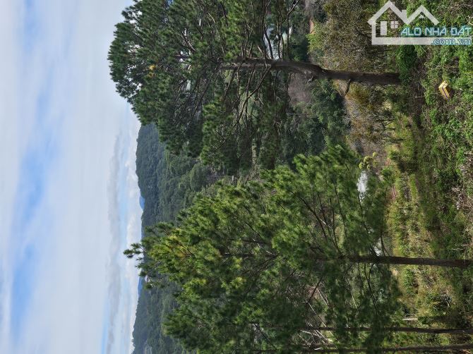 Cần bán lô đất đường 3/4, phường 3, tp Đà Lạt. View rừng thông siêu đẹp. 1091m² - 35ty - 1