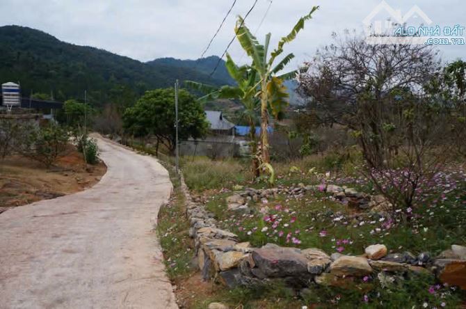 Bán Đất View Đẹp Tại Khu Du Lịch Cộng Đồng Tổ Vặt Hồng, P. Mường Sang, TX Mộc Châu - 13