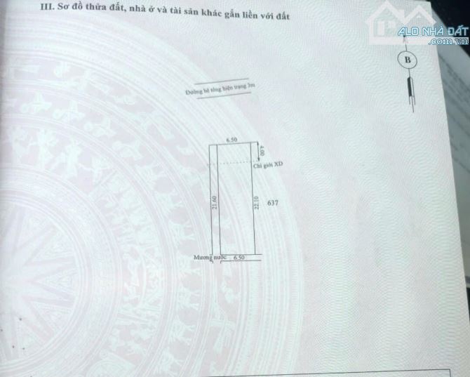 ✅BÁN ĐẤT KQH NGỌC ANH ĐƯỜNG SIÊU TO 147M2 CHỈ 3TY2XX ✅ - 3