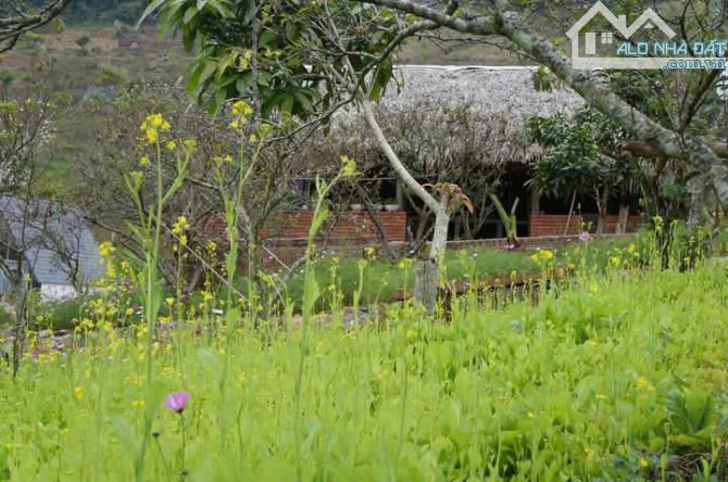 Bán Đất View Đẹp Tại Khu Du Lịch Cộng Đồng Tổ Vặt Hồng, P. Mường Sang, TX Mộc Châu - 5