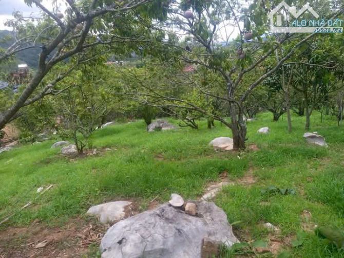 Bán Đất View Đẹp Tại Khu Du Lịch Cộng Đồng Tổ Vặt Hồng, P. Mường Sang, TX Mộc Châu - 7