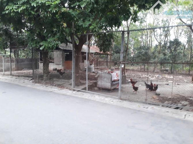 Bán lô đất xã Tráng Việt, Mê Linh dt 82m2, mt 5m giá 30 tr/m2