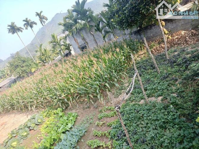 10M Bám Đường Bê Tông - 360m Có 100ont Gần An Lạc EcoFarm, Venus, Suối Khoáng Nóng Kim Bôi