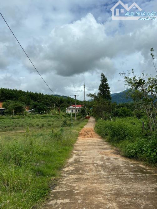 Bán đất Khánh Đông giá rẻ mặt tiền đường liên thôn - 1
