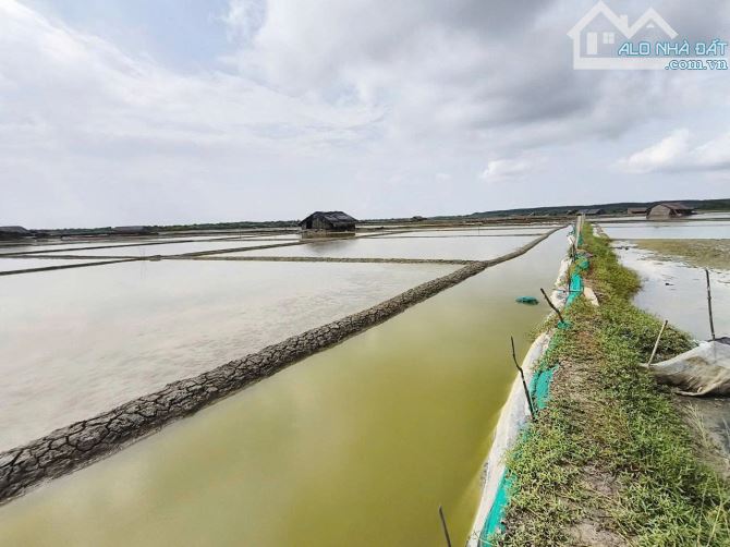 Cần bán lô đất 20.730m2 Lý Nhơn, Cần Giờ, đất làm muối , giá 17 tỷ - 1