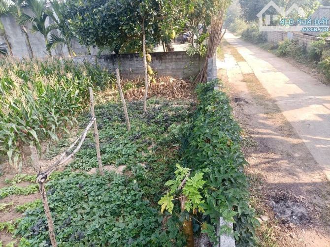 10M Bám Đường Bê Tông - 360m Có 100ont Gần An Lạc EcoFarm, Venus, Suối Khoáng Nóng Kim Bôi - 1