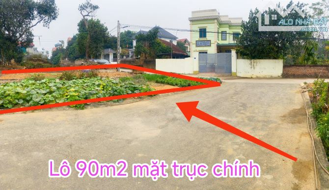 Bán nhanh lấy tiền trả công nợ, lô đất mặt trục chính kinh doanh giá đẹp - 2