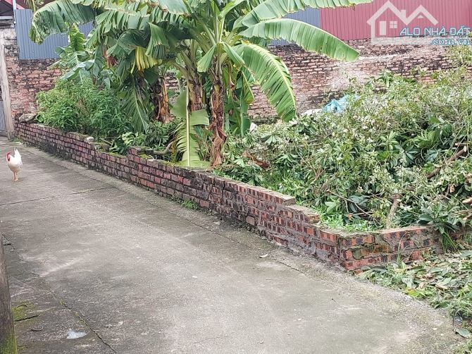 ĐÔNG ANH - SIÊU HỜI - SIÊU RẺ - 51tr/m. - 2