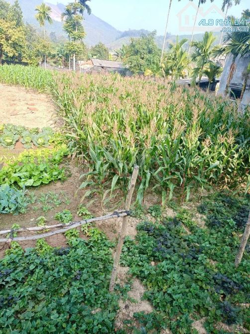 10M Bám Đường Bê Tông - 360m Có 100ont Gần An Lạc EcoFarm, Venus, Suối Khoáng Nóng Kim Bôi - 2