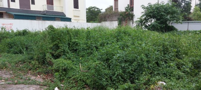 bán đất biệt thự lô góc mặt ngô quyền gần đường H100,DT310m2,MT12m,hướng TB,giá 24.8 tỷ - 2