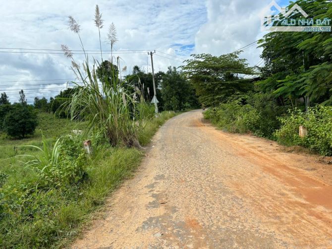 Bán đất Khánh Đông giá rẻ mặt tiền đường liên thôn - 3