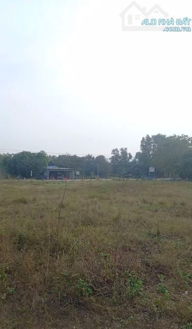 8.286m2 có 420m thổ cư mặt tiền QL1A cách chợ 900m, cách nút giao cao tốc 6,5 km. - 3