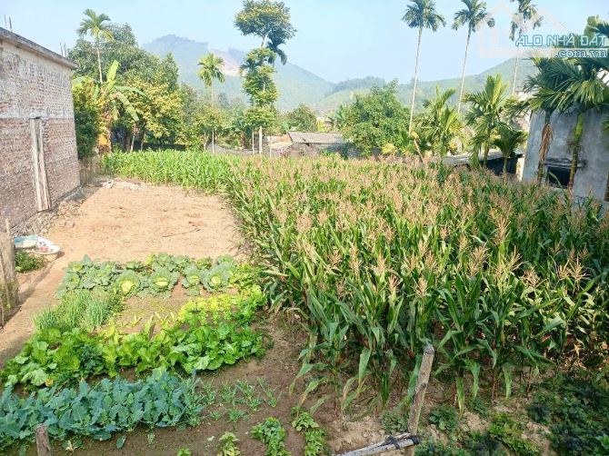 10M Bám Đường Bê Tông - 360m Có 100ont Gần An Lạc EcoFarm, Venus, Suối Khoáng Nóng Kim Bôi - 3