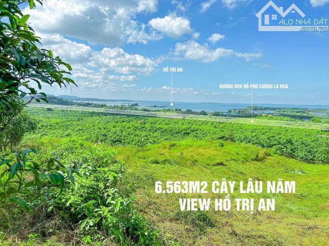 Kẹt Tiền Cuối năm Bán nhanh 6500 m2 VIEW hồ Trị An đường Ô Tô chỉ 320k/m2 - 4