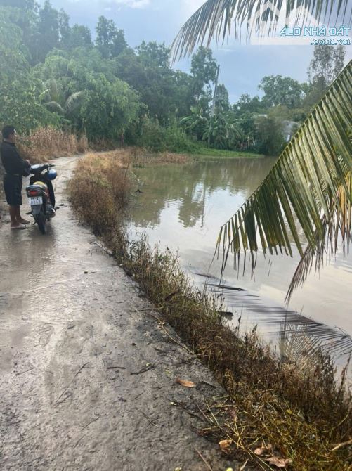 BÁN HƠN 9 CÔNG ĐẤT TẠI VỊ THỦY, HẬU GIANG.