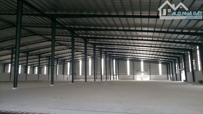 CHO THUÊ KHO CHU LAI NÚI THÀNH QUẢNG NAM DT 1500M2 - 1