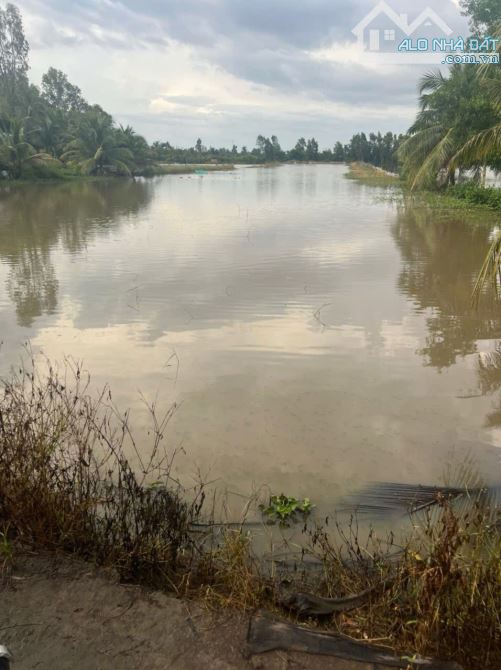 BÁN HƠN 9 CÔNG ĐẤT TẠI VỊ THỦY, HẬU GIANG. - 1