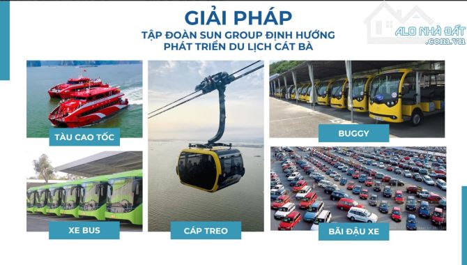 Bán khách sạn mini 25 phòng tại trung tâm Cát Bà, bãi tắm đẹp nhất Cát Bà - 3