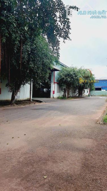 Cho thuê xưởng Long Thành Đồng Nai 1000m² - 3