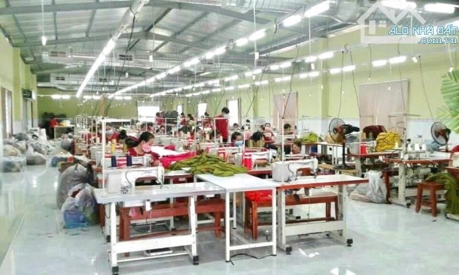 Cần bán nhà xưởng 2.517m2 có 1.990m2 thổ cư đường xe tải gần Tỉnh Lộ 7, xã Phước Thạnh - 2