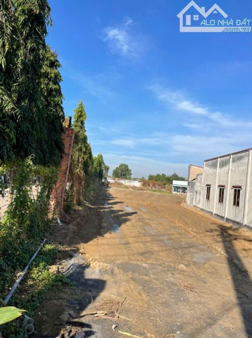 3500m2 đất mặt tiền tỉnh lộ 824 giá 24.5 tỷ - 3
