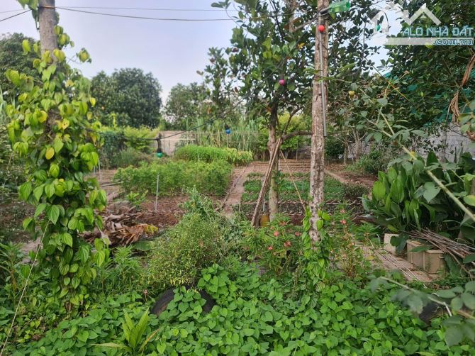 CHÀO BÁN CĂN NHÀ VƯỜN MỸ TÂN - TP NAM ĐỊNH - 8