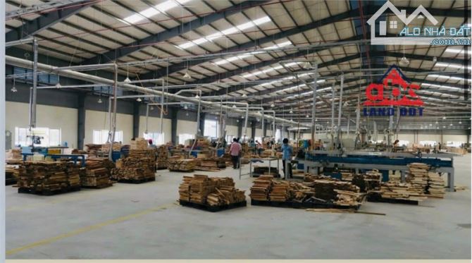 XT482 cho thuê xưởng sản xuất ổn định lâu dài. tập chung nhiều DNNN phù hợp DN FDI - 1