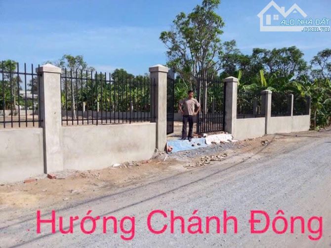 CẦN BÁN GẤP LÔ ĐẤT THỔ VƯỜN 648m2 CÓ 187m2 THỔ CƯ MT ĐƯỜNG BỜ CHÙA BÌNH CHÁNH - 1