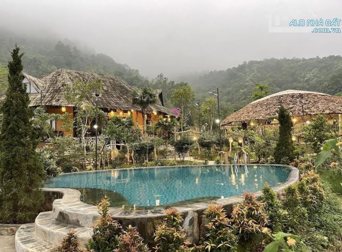 GẦN 1000M2 KHU THUNG SIM - NGỌC LINH QUÁ ĐẸP QUÁ TỐT - 1