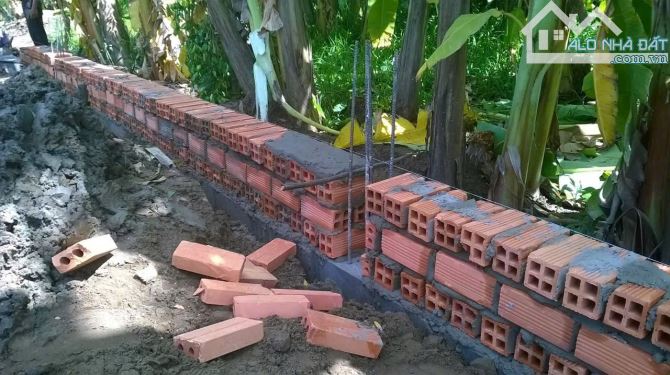 CẦN BÁN GẤP LÔ ĐẤT THỔ VƯỜN 648m2 CÓ 187m2 THỔ CƯ MT ĐƯỜNG BỜ CHÙA BÌNH CHÁNH - 2