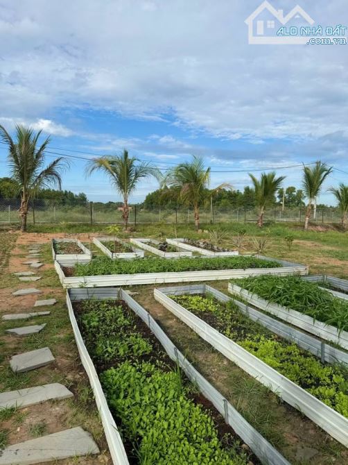 CẦN BÁN NHÀ VƯỜN 4757M2 SẴN NHÀ CẤP 4 ĐIỆN NƯỚC ĐẦY ĐỦ KHU DÂN CƯ GẦN SÔNG ĐỒNG NAI 1ty350 - 2