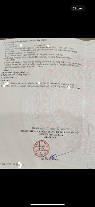 GẦN 1000M2 KHU THUNG SIM - NGỌC LINH QUÁ ĐẸP QUÁ TỐT - 3