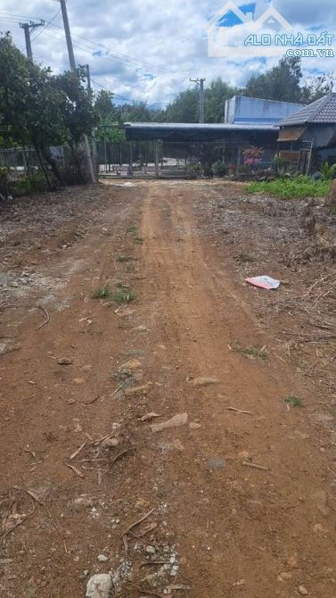 CẦN BÁN NHÀ VƯỜN 4757M2 SẴN NHÀ CẤP 4 ĐIỆN NƯỚC ĐẦY ĐỦ KHU DÂN CƯ GẦN SÔNG ĐỒNG NAI 1ty350 - 4
