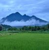 Đất đẹp xã Khánh Thượng Ba Vì, 793m, view cánh đồng, gần chợ, to tránh, gần TL, chỉ 1.56tỷ