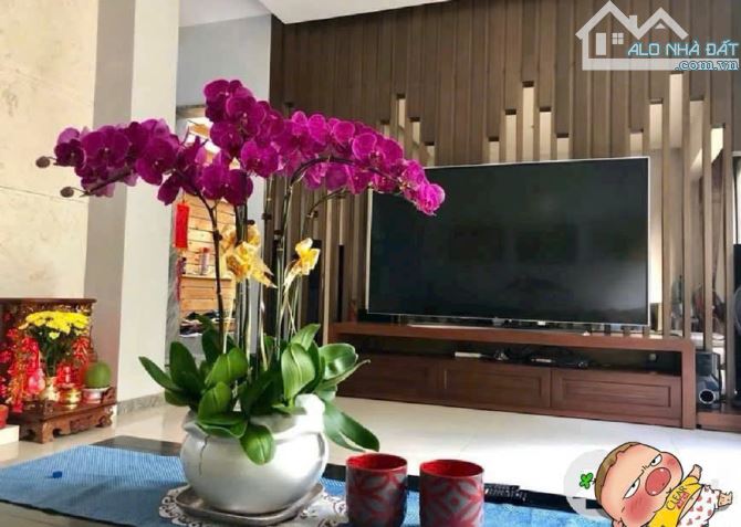 Hàng ngộp 19 tỷ. Biệt thự xịn sò VIP D2D Thống Nhất 200m2. Gần Topaz. - 1