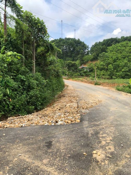 BÁN 5HA ĐẤT RỪNG SẢN XUẤT TẠI TÂN SƠN PHÚ THỌ GIÁ CHỈ 85TRIỆU 1 HA - 3
