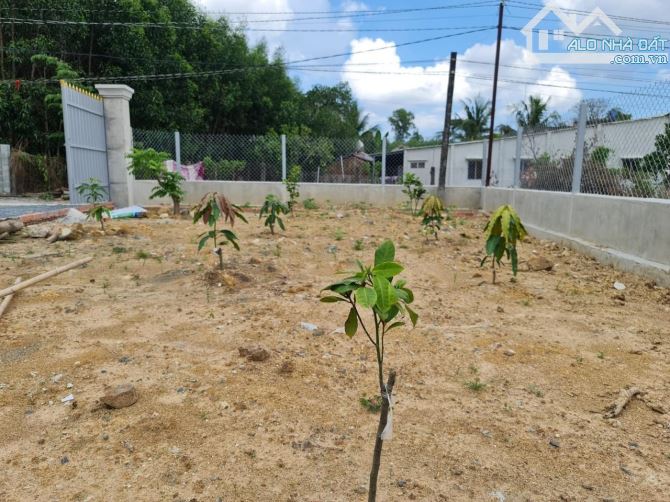 BÁN LỖ đất nhà vườn,thổ cư giá rẻ 1,7tr/m,đường oto khu dân cư,SR chính chủ.GỌI NGAY 24/24 - 2