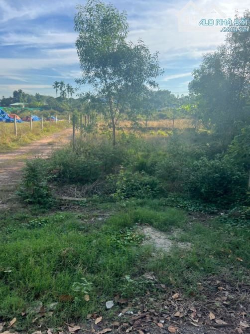 Đất xã Tân An Hội, Củ Chi, MT Đ.Nguyễn Thị Chiên 12m, 5x27m nở hậu 13m, 236m2 full Thổ cư - 2